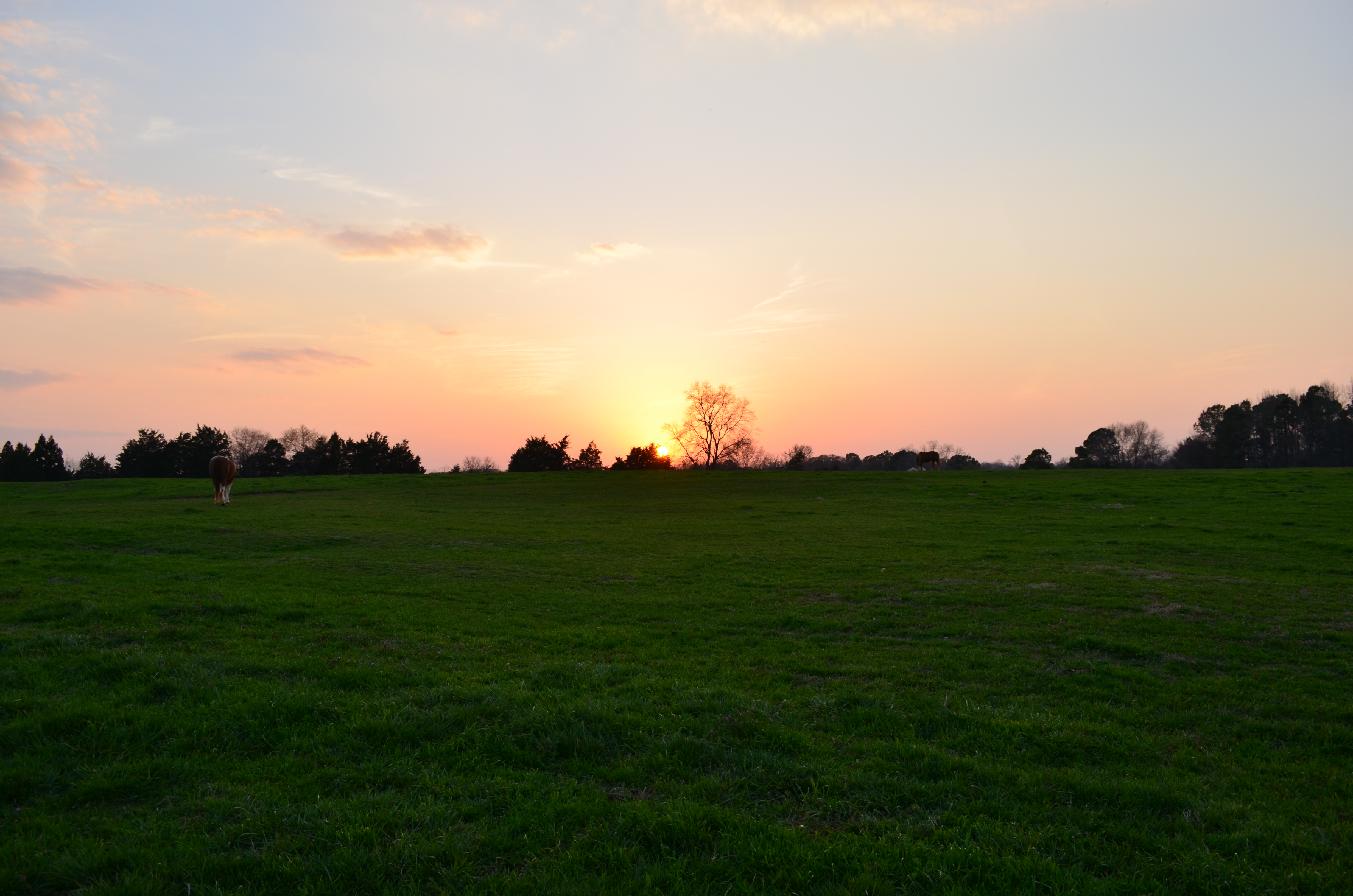 ./2014/Southern Cross/DSC_4092.JPG